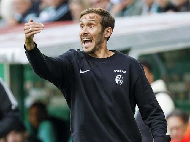 爱游戏娱乐-莱比锡红牛不敌弗莱堡，德甲积分跌至第三的简单介绍